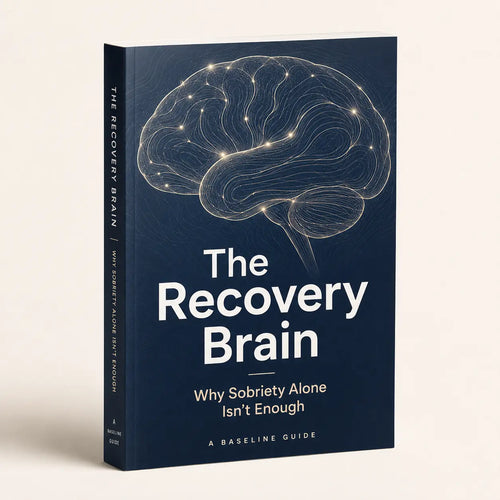 Sobriety Recovery Guide